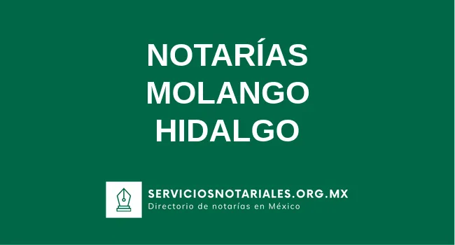 Directorio de notarios de Molango Hidalgo
